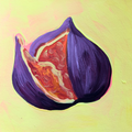 Fig - 5x5 Art Print